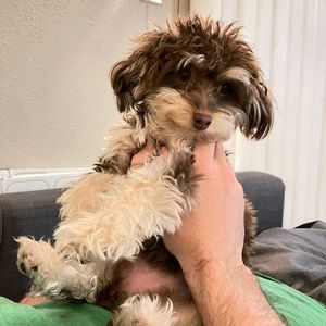 Meet your Posher, Pei-jen